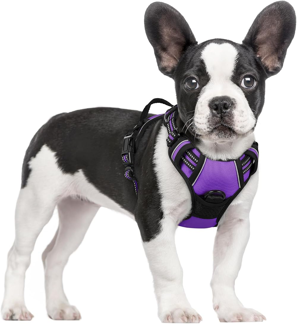 rabbitgoo Small Dog Harness No Pull Reflective with 2 Leash Clips Purple S
