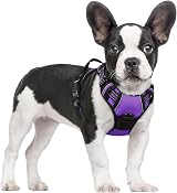 rabbitgoo Small Dog Harness No Pull Reflective with 2 Leash Clips Purple S