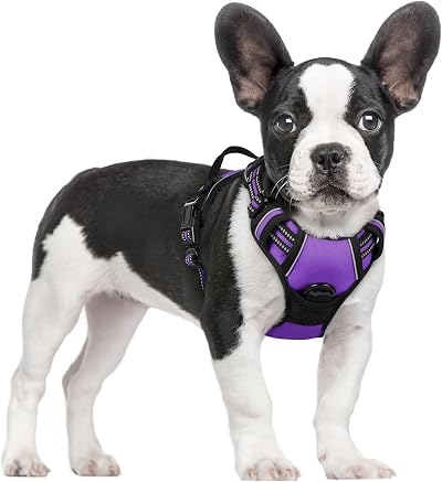 rabbitgoo Small Dog Harness No Pull Reflective with 2 Leash Clips Purple S
