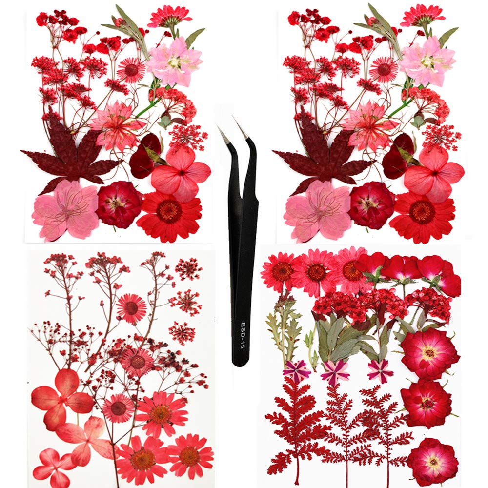 Sieman Pack 64pcs Red Dried Flowers for DIY Crafts, Resin, Candles, Jewelry, Decor