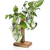 CYZglass Plant Terrarium Propagation Stations with Wooden Stand, Glass Vase for Indoor Hydroponics Home Garden Office Decoration Gift for Women - 4 Love Bulb Vase