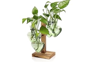 CYZGLASS Plants Propagation Stations Plant Terrarium Kit Glass Planters for Indoor Plants House Plant Accessories Gift for Women - 4 Love Bulb Vase