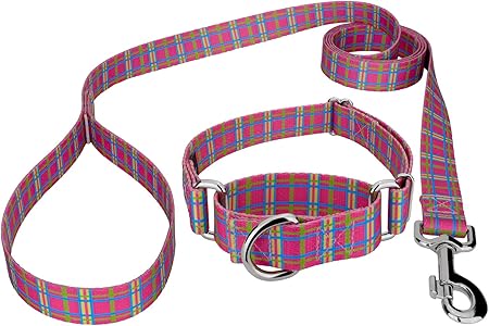 country brook martingale collar