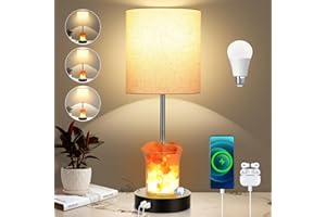 Dott Arts Table Lamp with Salt Lamp, 3-Way Dimmable Bedside Nightstand Lamp with USB Ports and AC Outlet, Touch Lamp for Living Room Bedrooms Reading Room, Bulbs Included