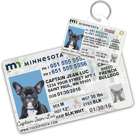 Cat Drivers License Tag