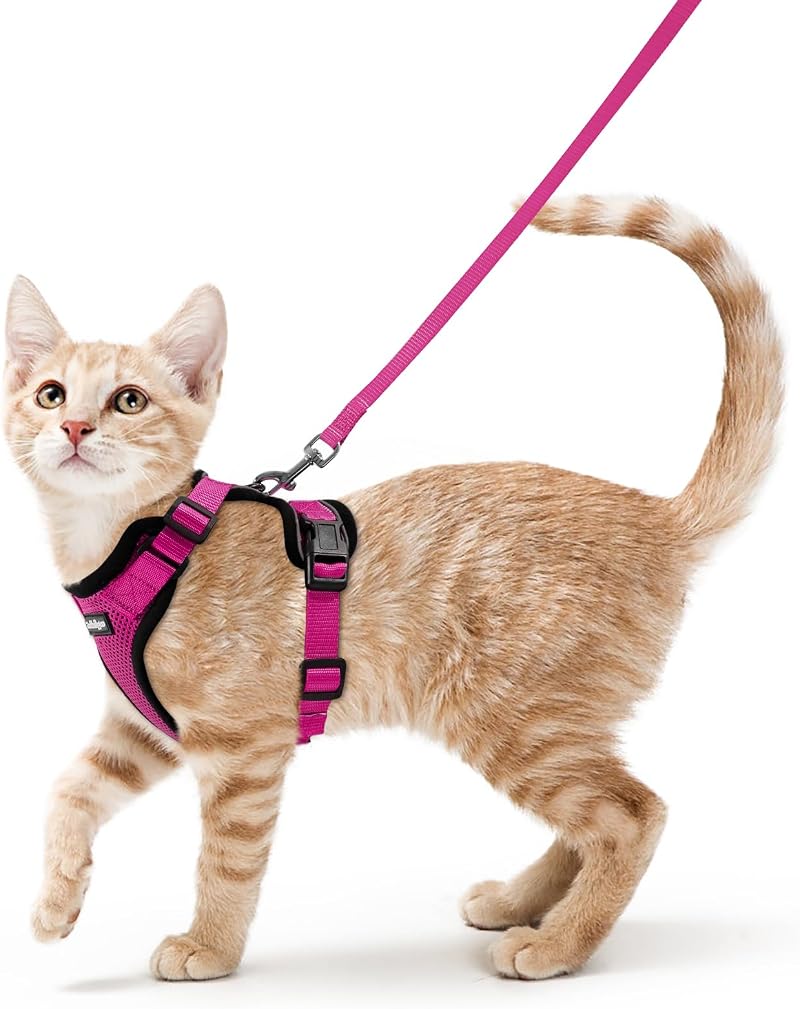 rabbitgoo Cat Harness and Lead Set Rose Red XS Adjustable Escape Proof