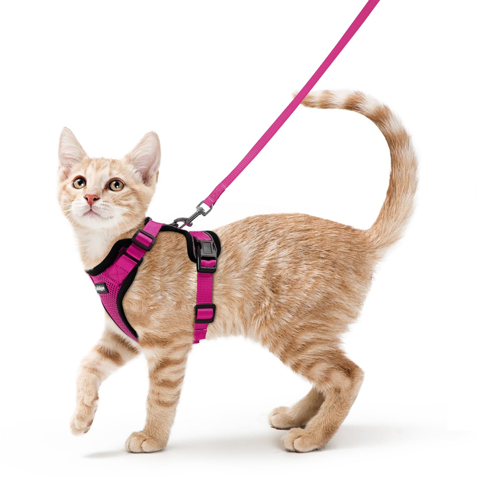 rabbitgoo Cat Harness and Lead Set, Adjustable Escape Proof Cat Lead for Walking, Reflective Kitten Harness Set, Soft and Comfortable for Small Cats, Rose Red, XS