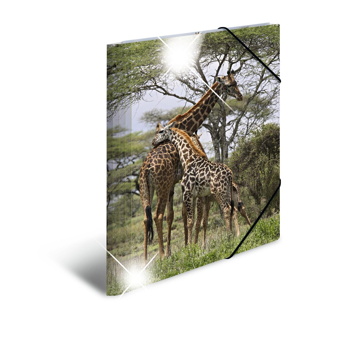 HERMA Elastic Folder Animals with Giraffe Motif, A4, Glossy Plastic, with Inner Print, 1 Span Folder
