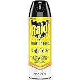 Raid Multi Insect Killer, Orange Breeze 15 Ounce (Pack of 1) | Kills Ants, Roaches, Spiders, and Other Insects on Contact, Indoor &amp; Outdoor Use