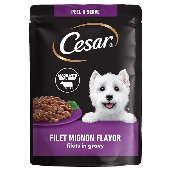 CESAR FILETS IN GRAVY WET DOG FOOD FILET...