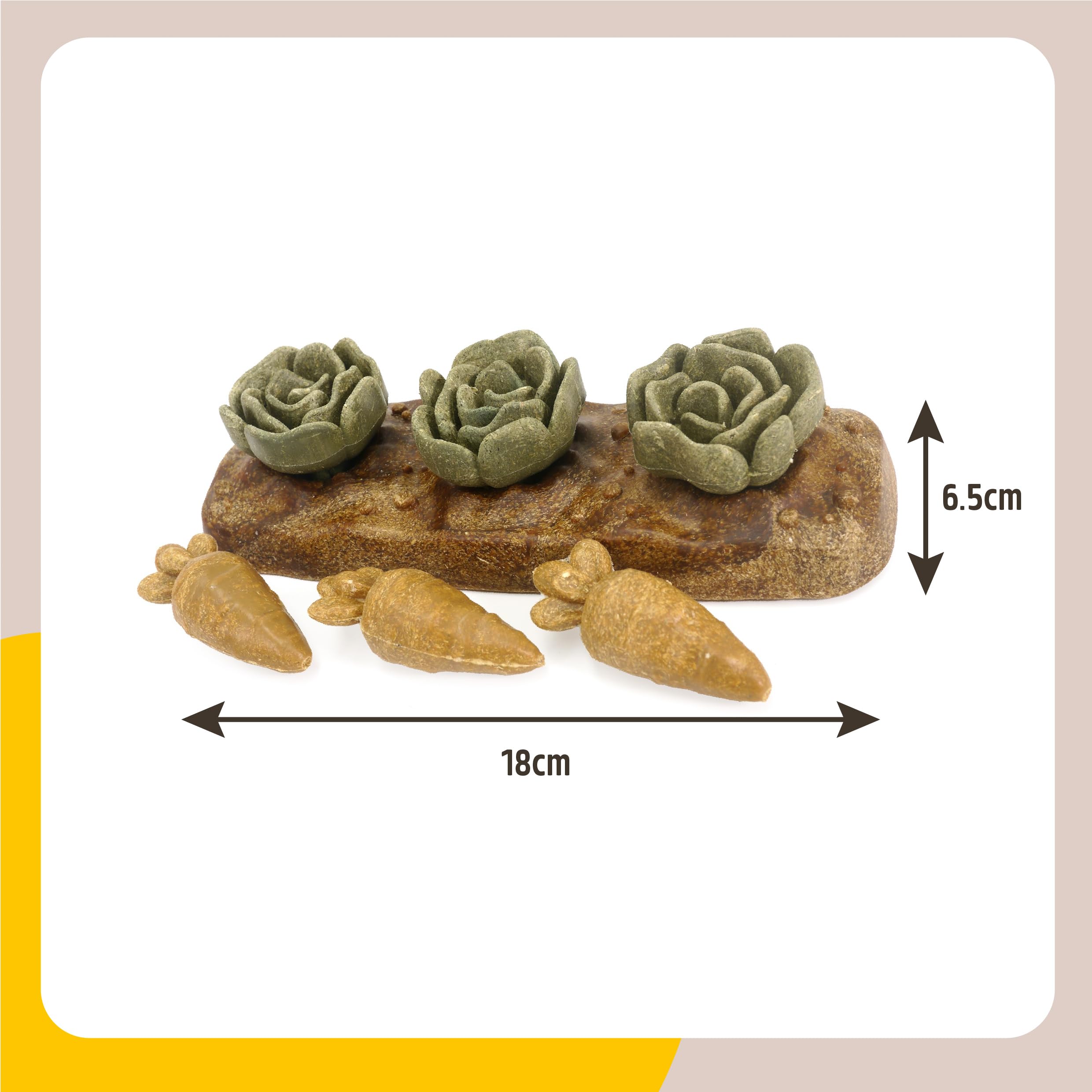 View 4
