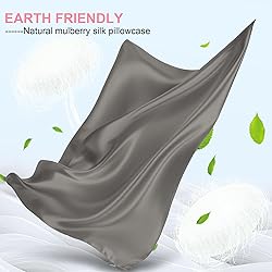 Mulberry Silk Pillow Cases 2 Pack King Size 20x36