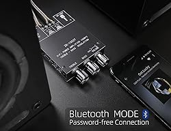 100W+100W Amplifier Board with Treble and Bass