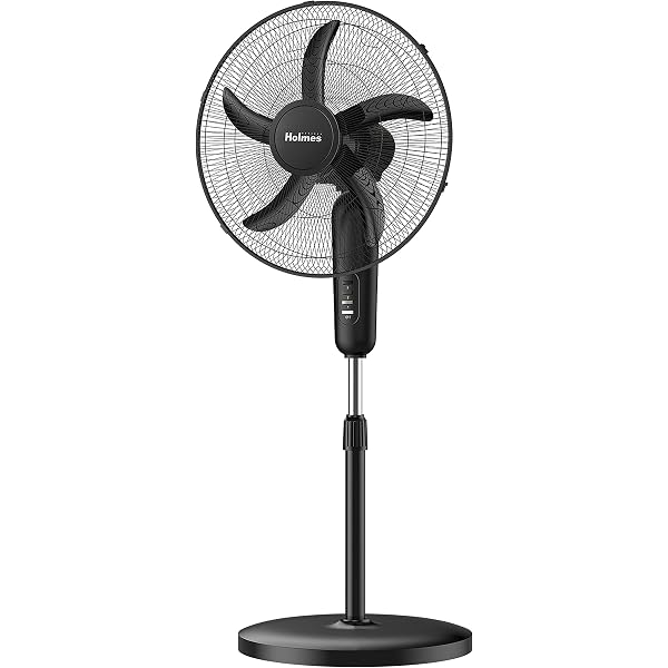 Amazon.com: HOLMES 18 Stand Fan, 80° Oscillation, 3 Speeds, 5 Blades,  Adjustable Height, 30° Head Tilt, Ideal for Home, Bedroom or Office, Black:  Paintings