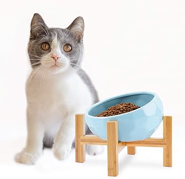 Amazon ーペット ボウル フードボウル 犬 猫食器 陶器 ウォーター ボウル 犬猫用 餌入れ 水入れ 水飲みボウル 負担軽減 木製 ペット皿 滑り止め 安定感 取り外し可能 手入れ Wantryapet 食器 ボウル 通販