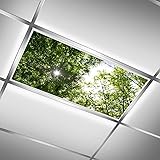 Drop Ceiling Light Covering Insert 4' x 2' feet