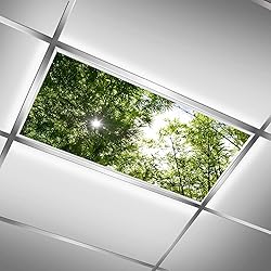 Drop Ceiling Light Covering Insert 4' x 2' feet