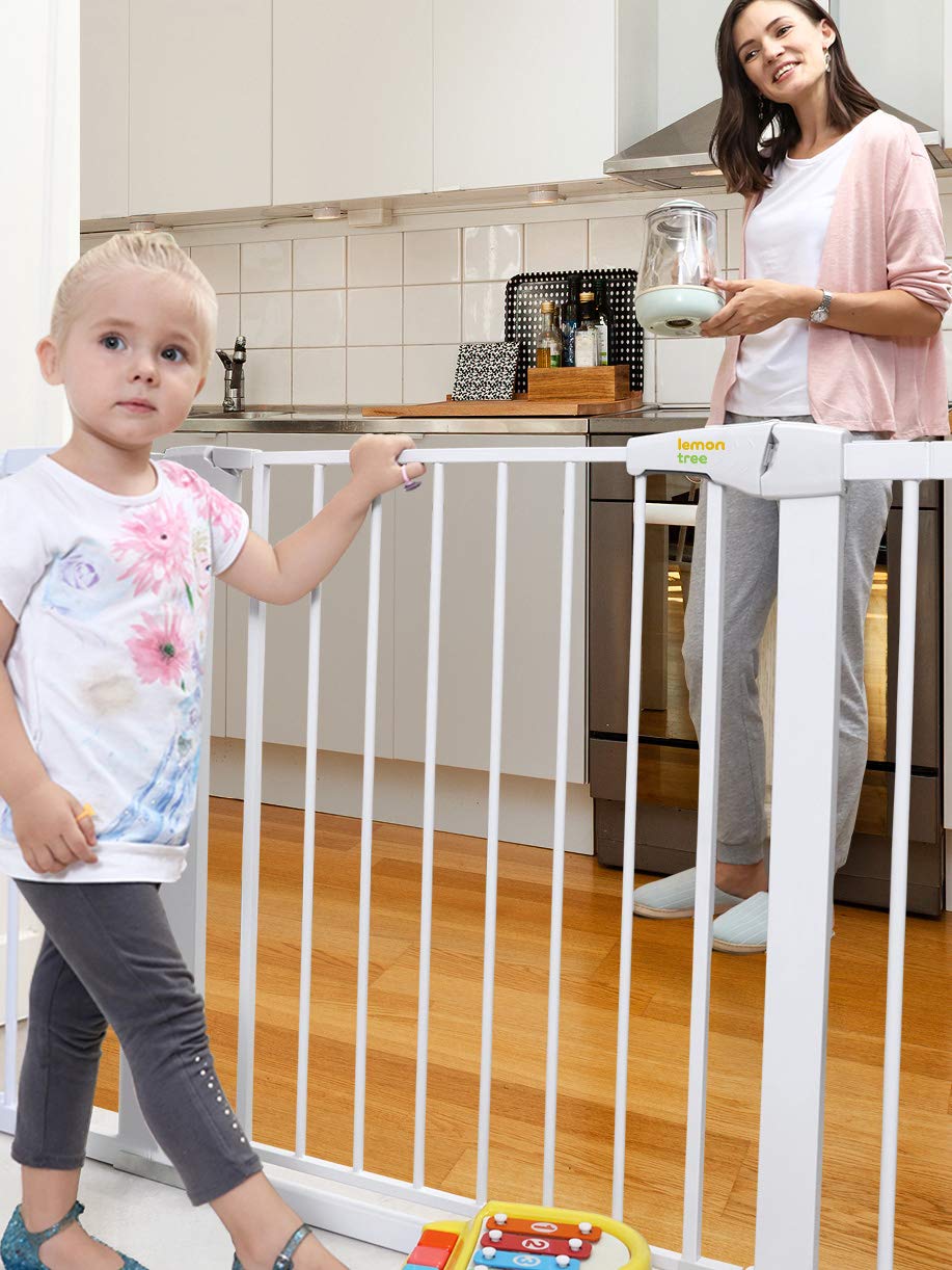 lemon tree baby gate