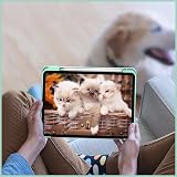 FINTIE Hybrid Case for iPad Air 11 M4/M3/M2 Emerald Marble Clear Back view 9