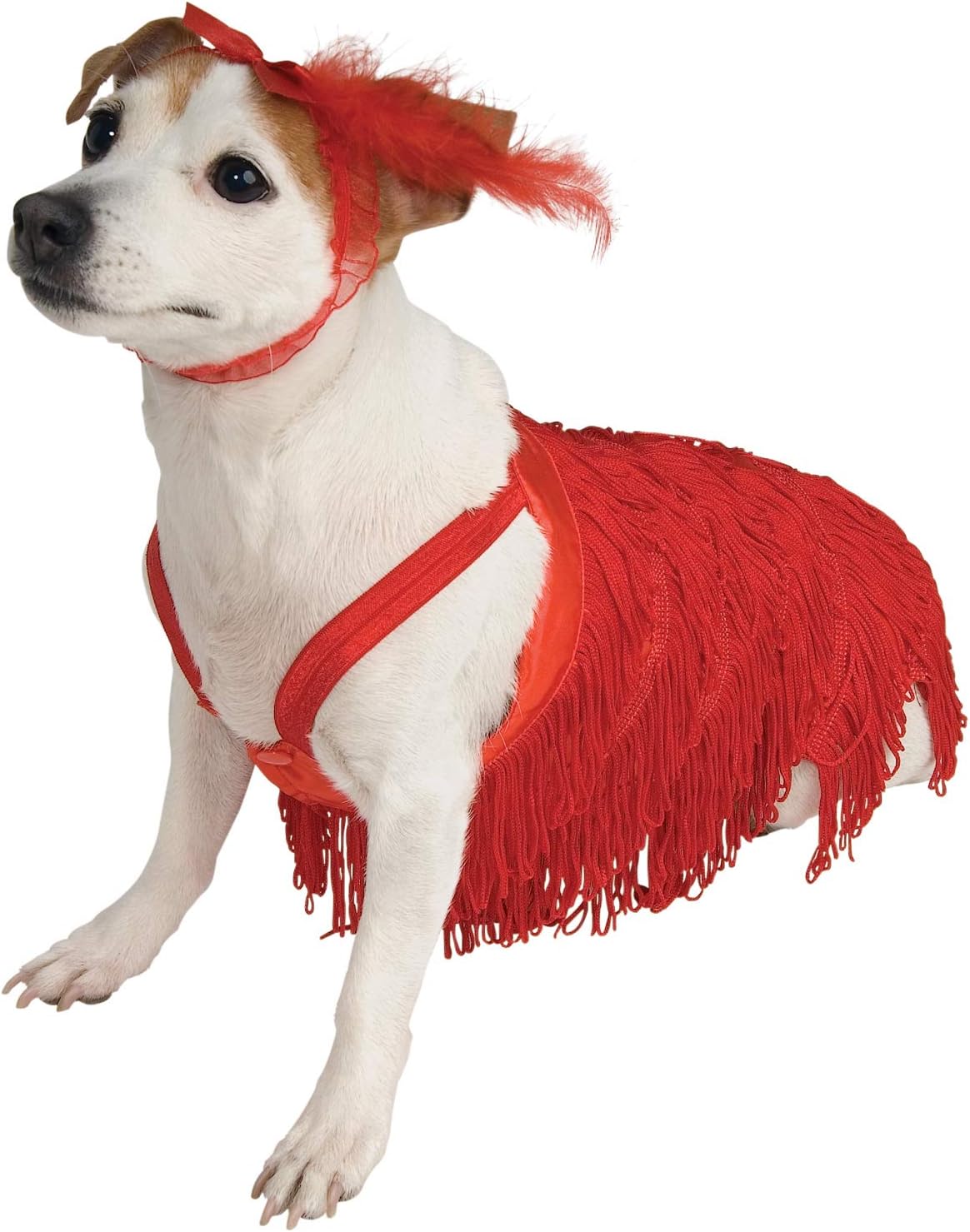 infant flapper dress