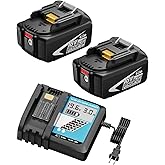 Hastia 56V Lithium-Ion 10.0Ah Battery Replacement for EGO 56V Battery BA5600, 2-Pack (6.0Ah-2Pack&Charger)