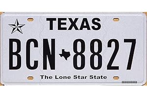 GENERIC Authentic License Plates - All 50 States + Territories License Plate Tags in Good Condition, Great for Decoration, Art Projects, Garages, Unique Gifts, Man Caves. (Texas)