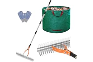 Thatch Rake for Lawns, Lychee 15" Heavy Duty Metal Dethatcher Rake with 70" Adjustable Handle Manual Thatcher with 19 Tines f