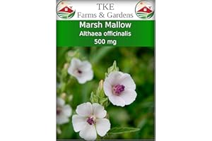 TKE Farms & Gardens - Marshmallow Seeds for Planting, 500 mg, 250 Heirloom Seeds, Non-GMO, Packet Includes Instructions for Growing, Althaea officinalis. Qty 1