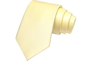 JEMYGINS Solid Color Tie Mens Necktie for Business and Wedding