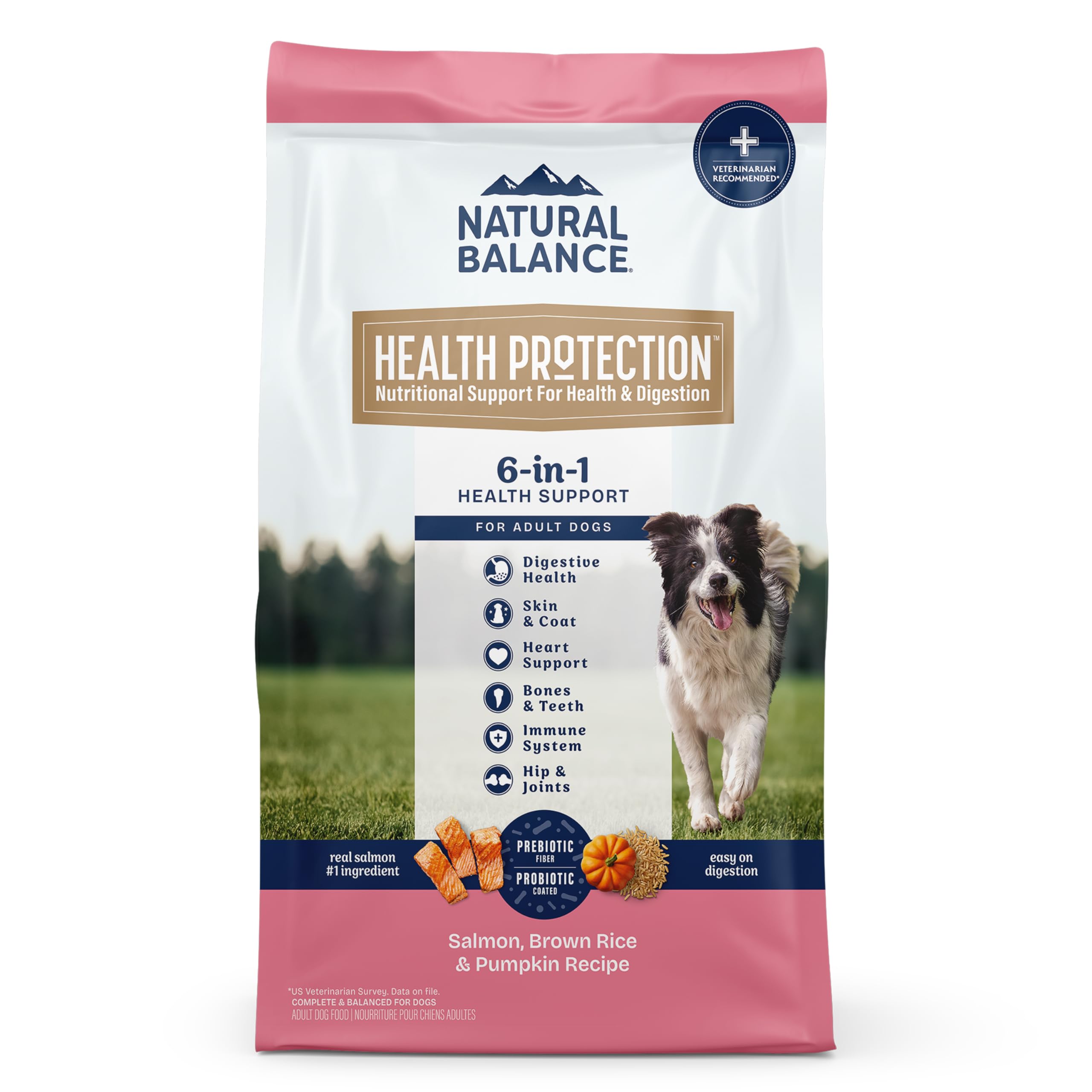 Photo 1 of Natural Balance Health Protection Dry Dog Food – Whole Body Health, Easy on Digestion Dog Food Made with Salmon, Brown Rice & Pumpkin for Dogs - 22lbs.