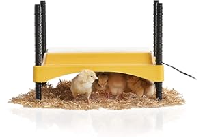 Brinsea Ecoglow Safety 600 Chick or Duckling Brooder, Adjustable Height & Angle Brooder Plate for 20 Chicks, Ideal for Chicken Coops Poultry Heating with Safety Indicator, 12 Watts