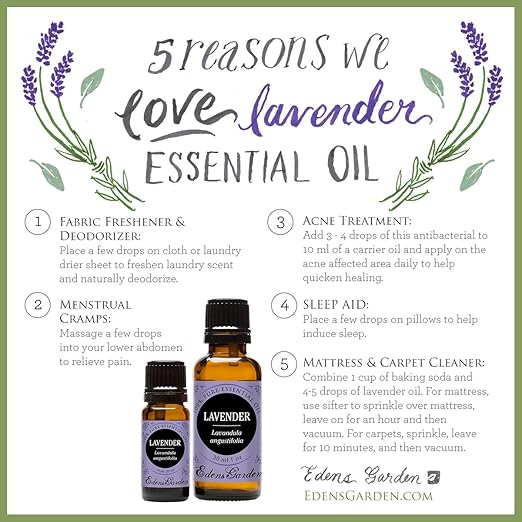  Lavender 100 Pure Therapeutic Grade Essential