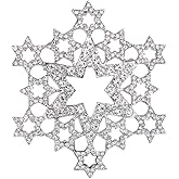 EVER FAITH Women's Austrian Crystal Hollow-Out Star Snowflake Flower Brooch Pin Clear