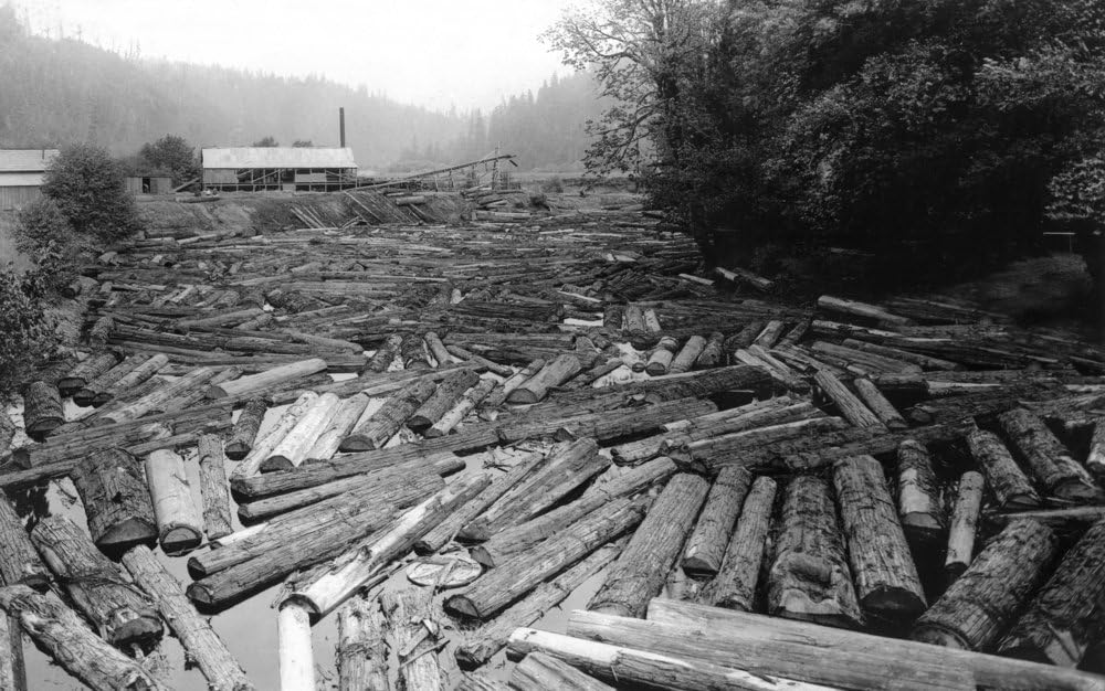 Coquille River, Oregon View of SawMill, Logs Clogging