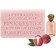 Australian Botanical Soap Pink Lychee with Pawpaw Extract 6.6 oz Triple Milled Luxury Soap Bar Enriched with Shea Butter, Sutiable for Men, Women and All Skin Types, Pack of 1