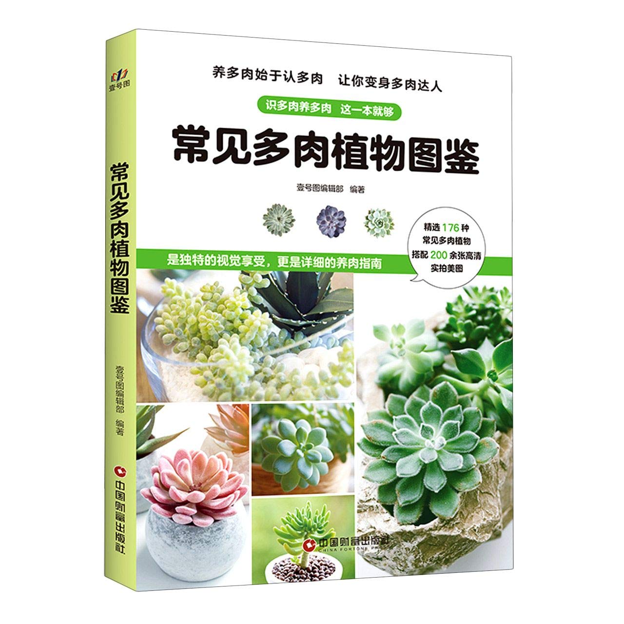 常见多肉植物图鉴 匿名 匿名 Amazon Com Books