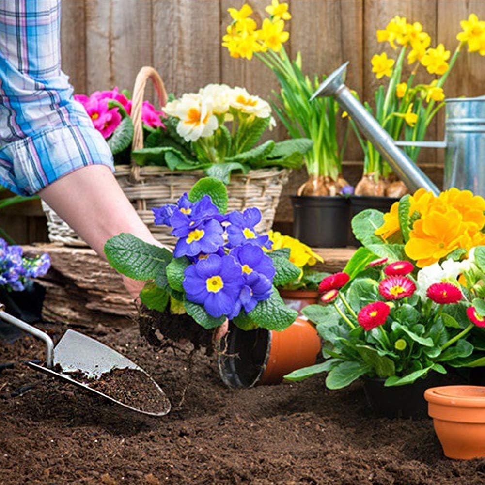 Janeflower Garden Tool Set 4 Pieces of Iron Hand Shovel Transplant Shovel Incubator Hand Rake and Drafter Non-Slip Handle Garden Lawn Gift (JF000002) : Garden & Outdoor