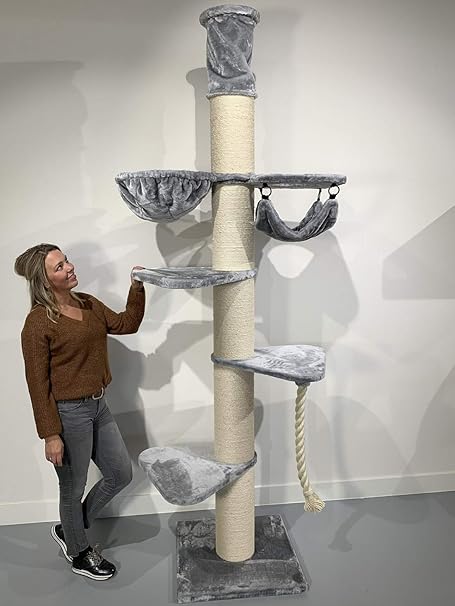 Rhrquality Arbre A Chat Xxl Geant Maine Coon Tower Crown Gris Clair Fixation Plafond Hauteur Griffoir Arbres Pour Grand Gros Chats Solide A Grande Taille Original Design Moderne De Adulte Amazon Fr Animalerie