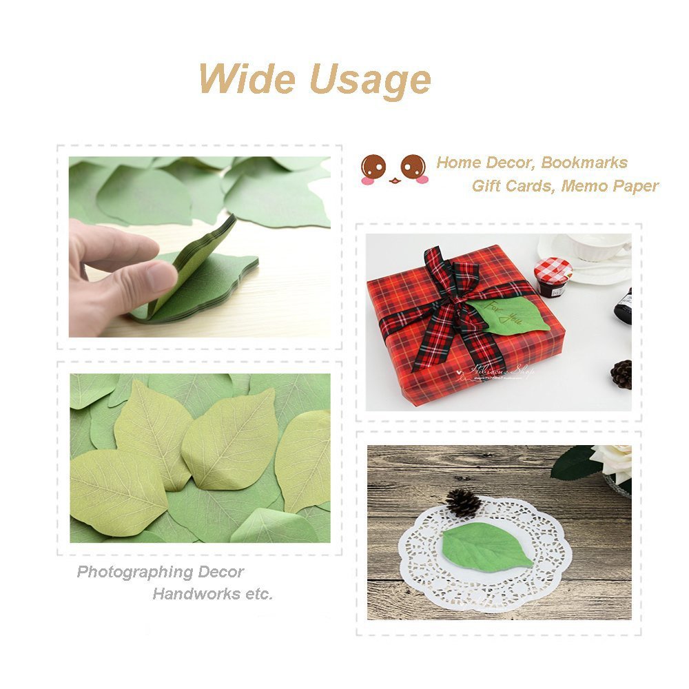 Mariposa imán para nevera (Juego de 6)/oficina imanes/Junta de ...