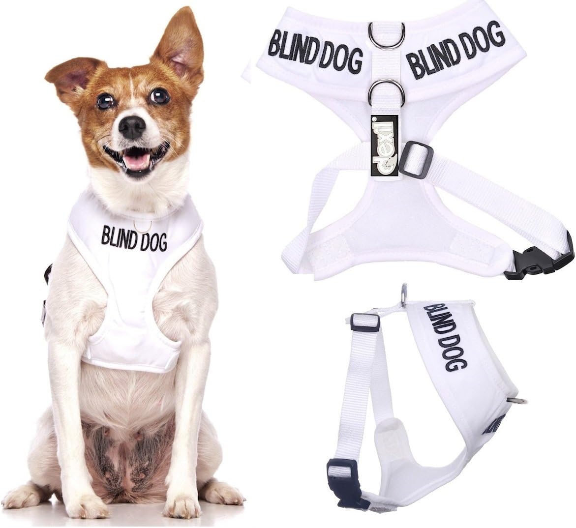 white dog harness
