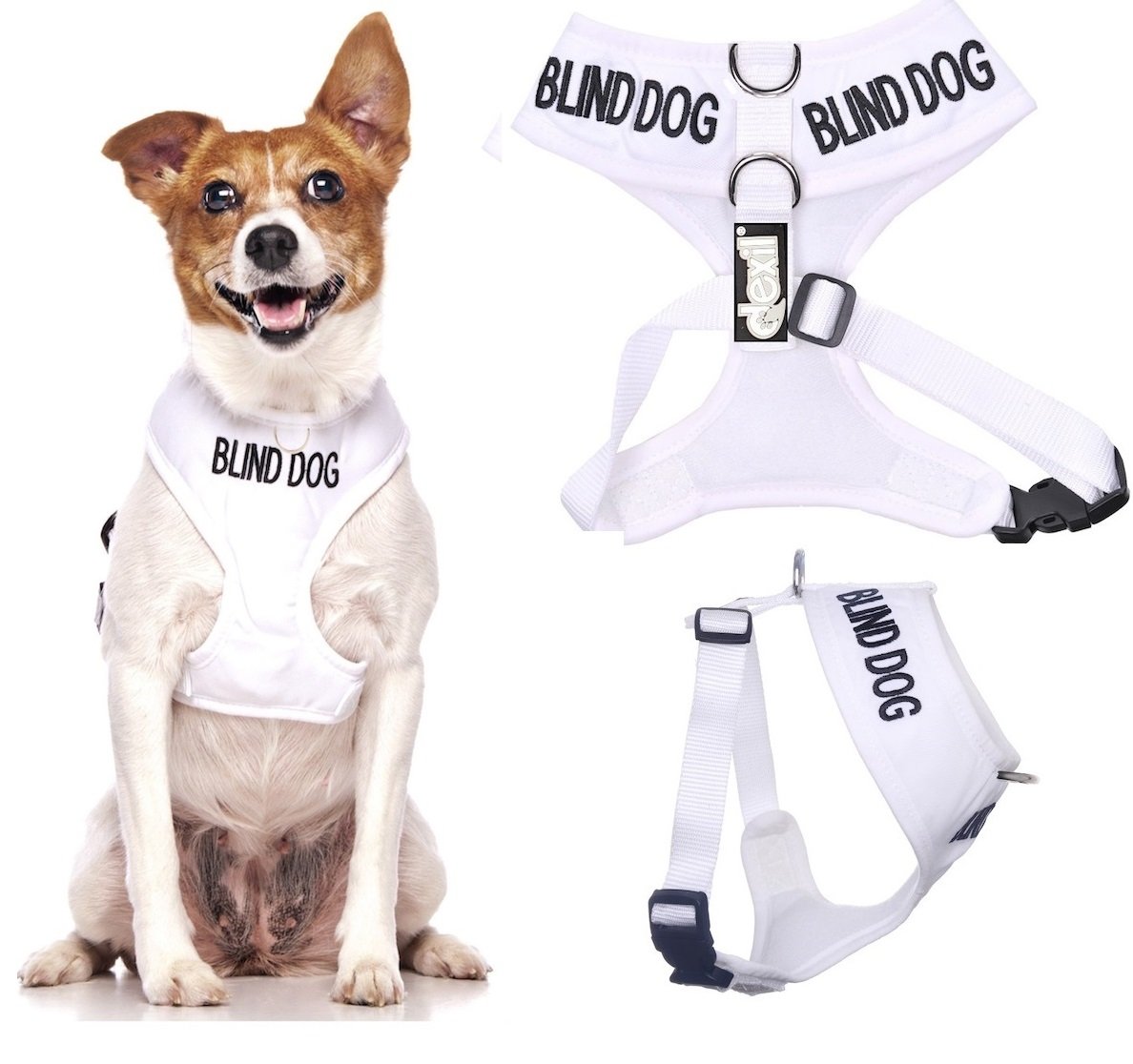 Dexil BLIND DOG (Dog Has Limited/No Sight) White Colour Coded Non-Pull Front and Back D Ring Padded and Waterproof Vest Dog Harness PREVENTS Accidents By Warning Others Of Your Dog In Advance (S) โ image 1