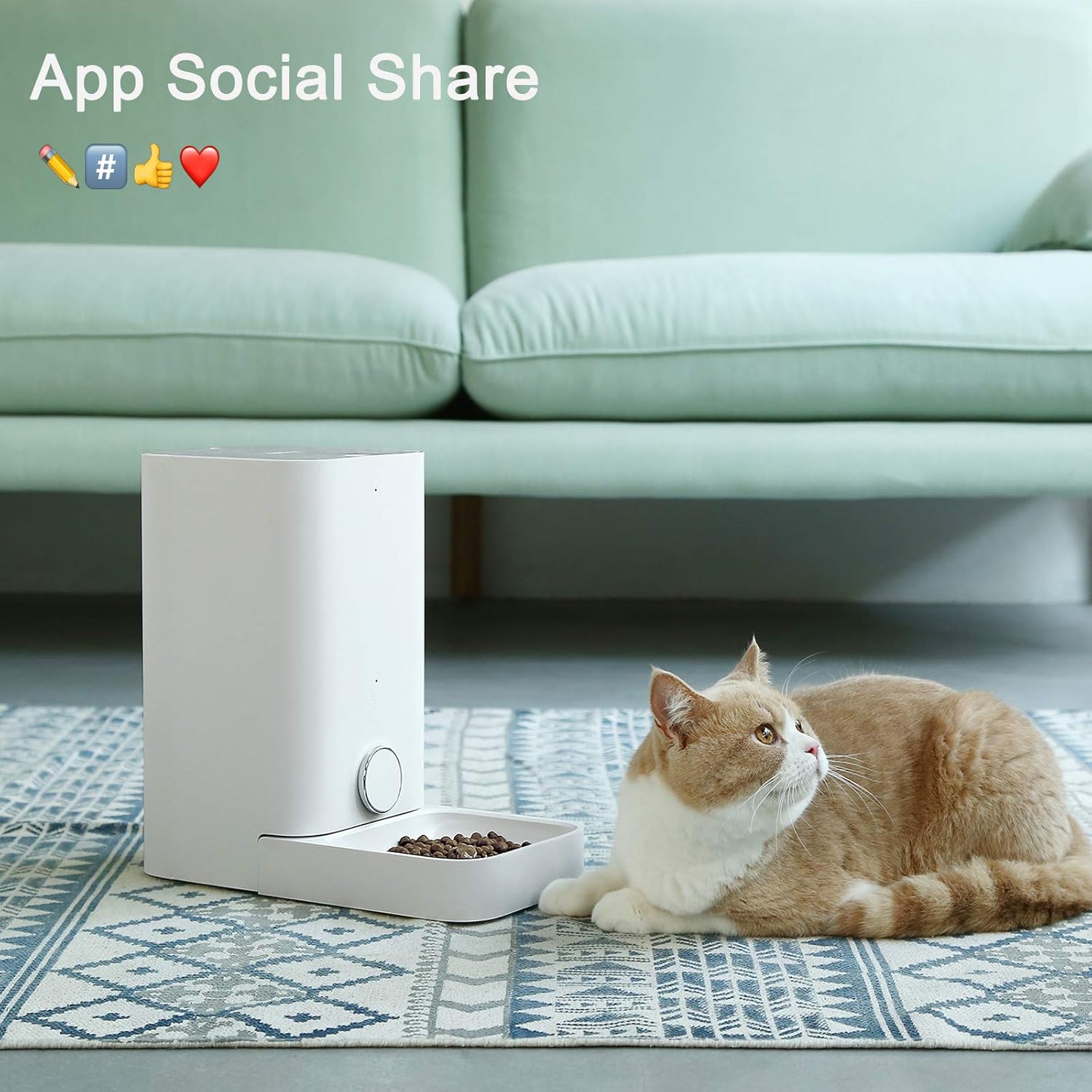 PETKIT Automatic Cat Feeder, Smart Feed Pet Feeder for Small Animals, Wi-Fi Enabled & Work with Alexa, App for Android and iPhone, Auto Pet Food Dispenser with Portion Control, Battery Back-up System : Pet Supplies