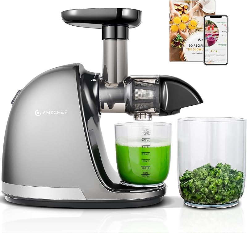 AMZCHEF Juicer Machines Cold Press Slow Masticating Juice Extractor Grey