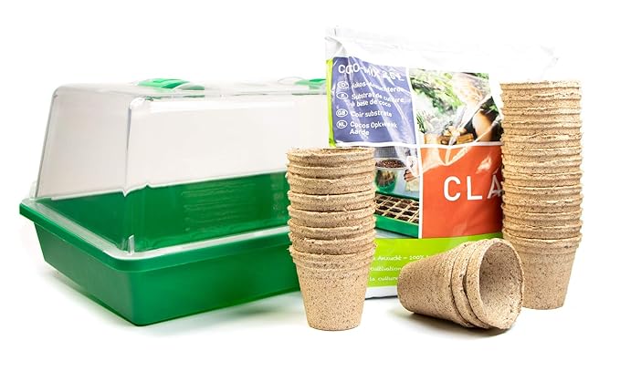 mgc24® Zimmergewächshaus »GreenHouse« | Anzuchtschale mit Deckel und Belüftung | Komplettset mit 24 Torftöpfen + 2,5l Anzucht
