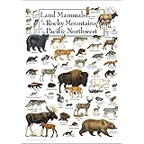 Earth Sky + Water Poster - Land Mammals of the Rocky Mountains & the Pacific Northwest
