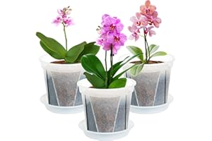 IWNTWY Plant Pots 7 inch Set of 3, Clear Plastic Nursery Pots with Drainage Holes and Saucers, Seedling Pots Seed Starter Pots Planter Pots for Indoor Outdoor Plants