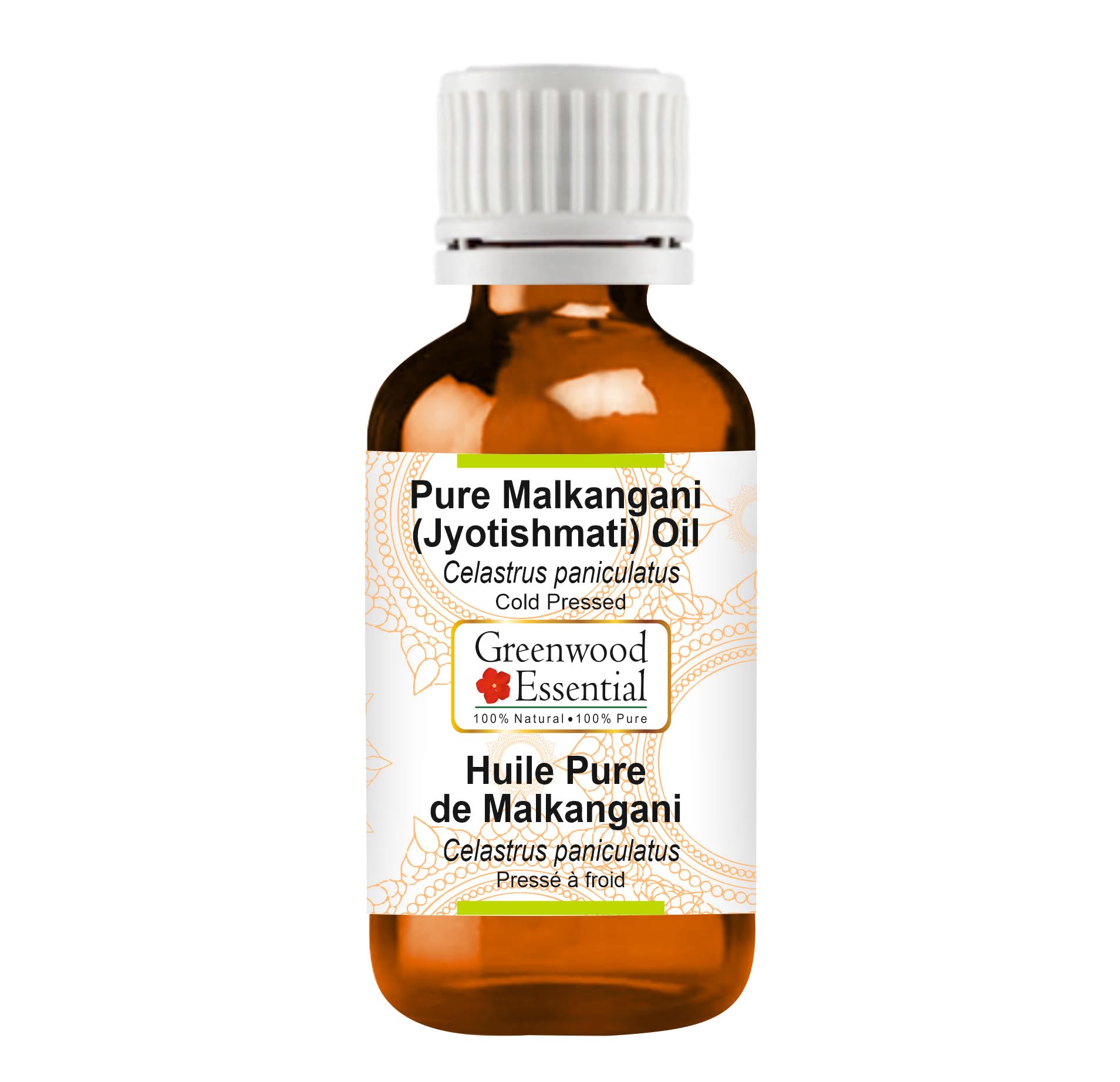 Greenwood Essential Pure Malkangani (Malkangni/Jyotishmati) Oil (Celastrus paniculatus) Cold Pressed Natural Therapeutic Grade 15ml (0.50 oz)