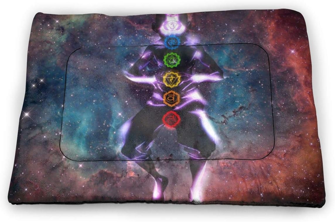 DamianSzifron Avatar The Last Airbender Pet (Dog/Cat) Bed | Crate Bed Mat | Machine Washable Pet Bed Liner