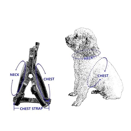 Yjzq Harnais Chien Réglable Harnais Harnais Pour Chien Moyen