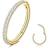 SAILIMUE G23 Titanium CZ Nose Rings Hoop for Women 18G 16G Clicker Hinged Segment Septum Lip Rings Tragus Conch Helix Cartilage Rook Daith Earrings Hoop Piercing Jewelry Diameter 6mm 8mm 10mm Silver Gold